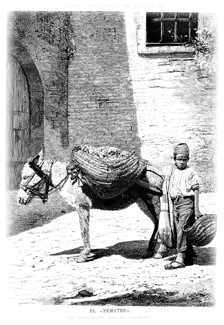 Femater, oficio de principios del siglo XX